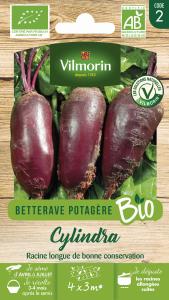Betterave Potagère Cylindra - BIO